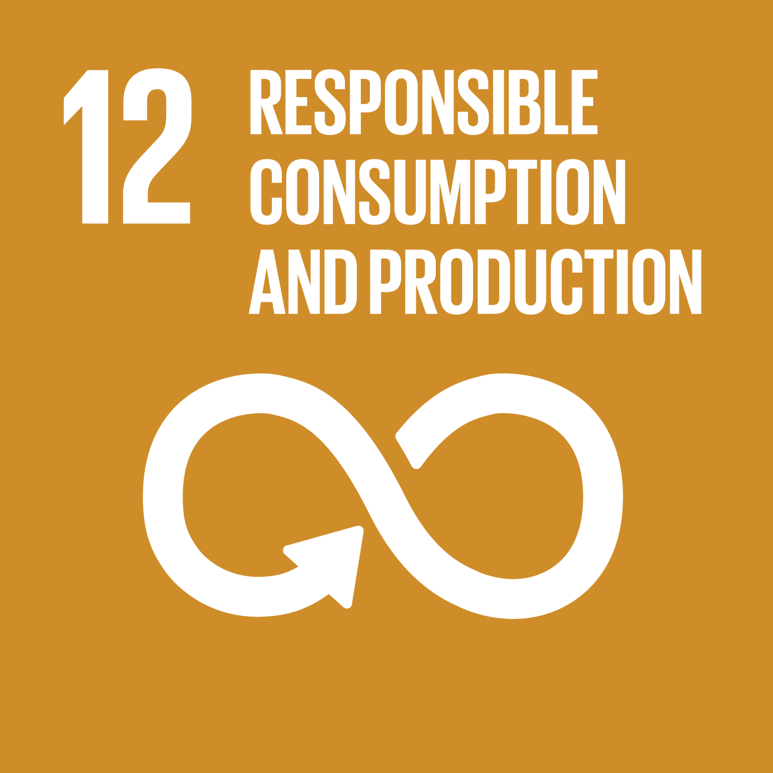 UN SDG 12 Responsible Consumption & Production badge