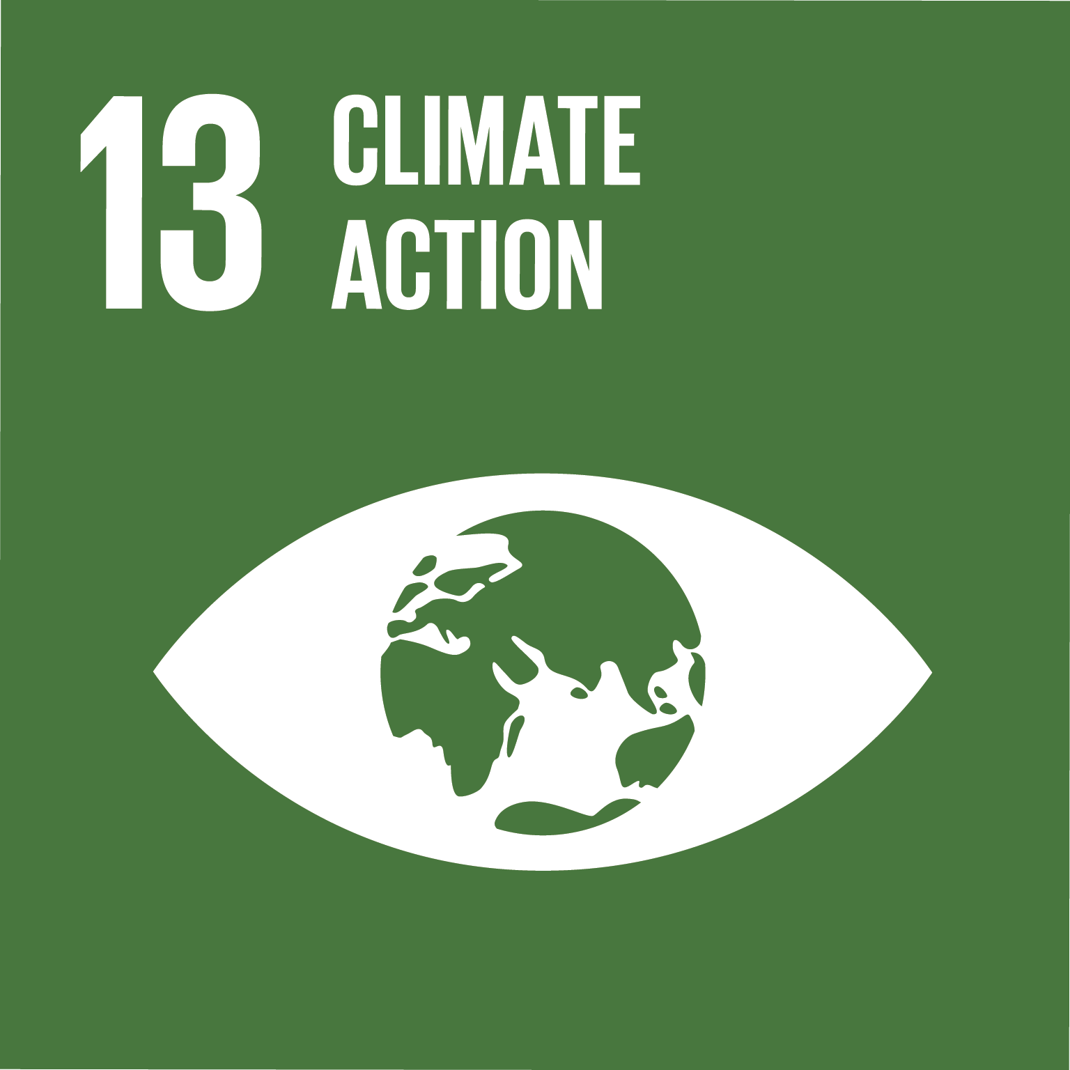 UN SDG 13 Climate Action badge